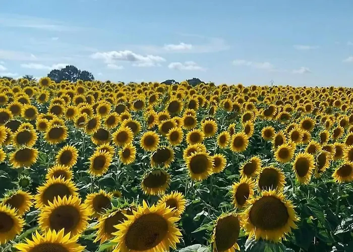 Apartment A La Campagne A 30min De L'ocean